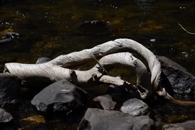 DSC_3626 (Large).JPG